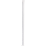 Paille Biodore | paille à boire | papier | 230mm | emballé individuellement | noir