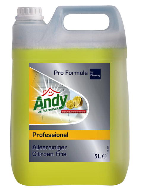 Nettoyant tout usage Andy citron frais 5 litres | 2 pièces