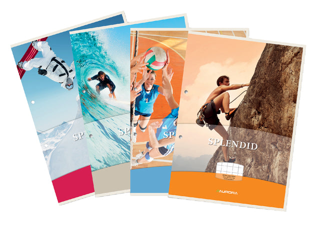 Bloc cours Splendid A4 2 trous losange 10x10mm 100 feuilles 70gr