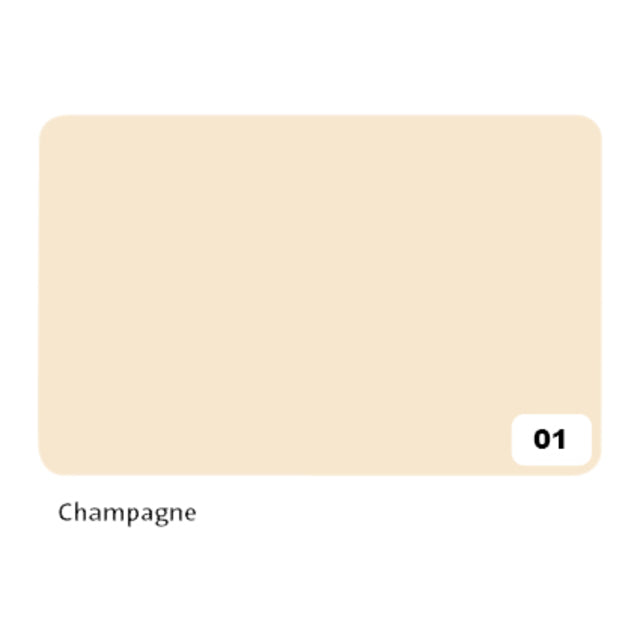 Folia Paper - Fotokarton folia 2z 50x70cm 300gr nr01 champagne | 10 stuks