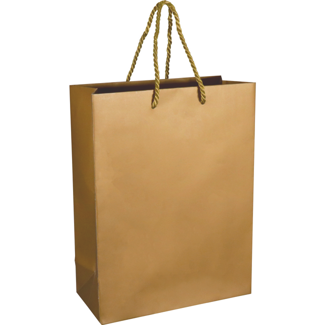 Neutral - Tas | Papier | met koord | 22x 10x29cm | draagtas | goud/wit | 100 stuks