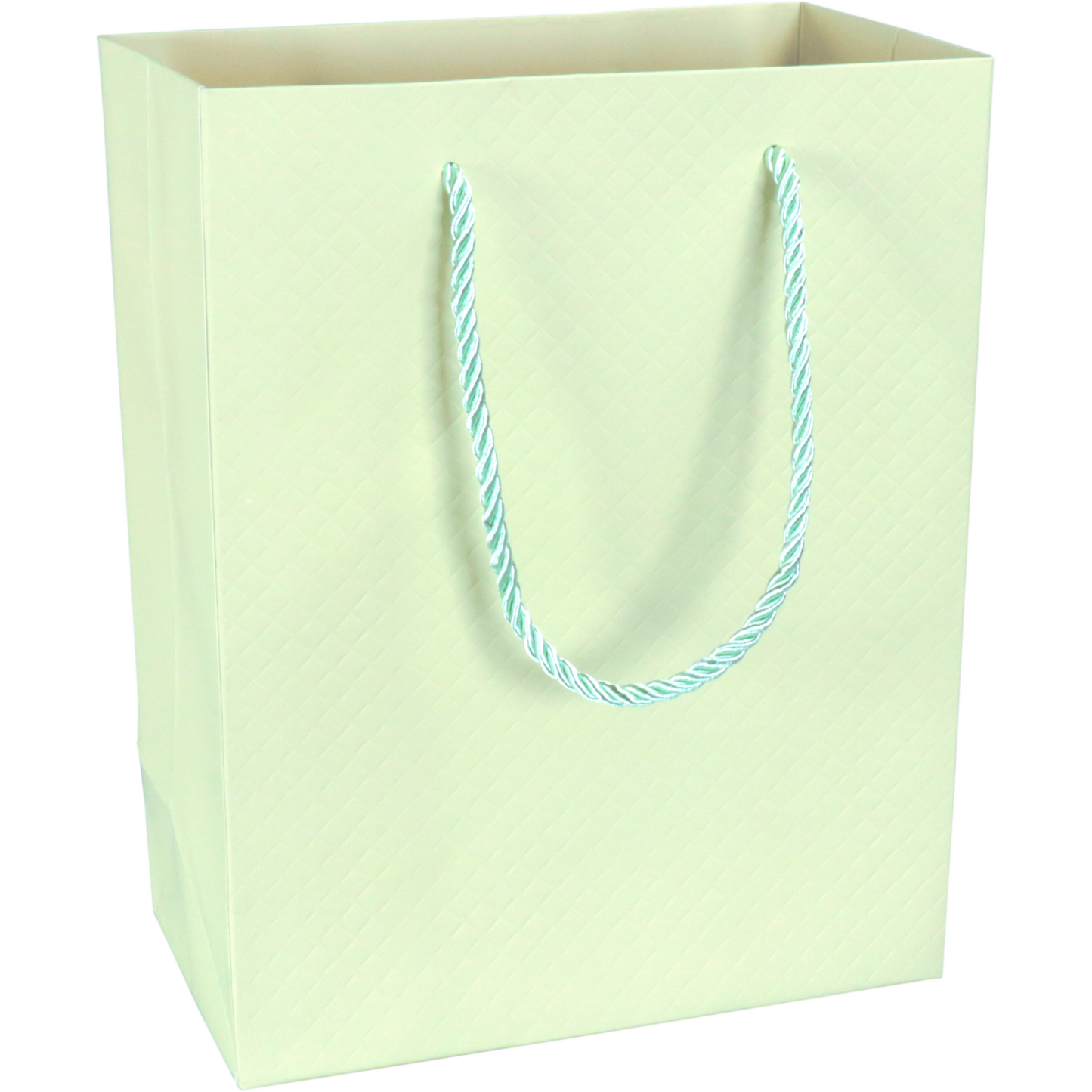Klika - Tas | Papier | embossed | 18x 10x23cm | draagtas | pastelgroen | 10 stuks