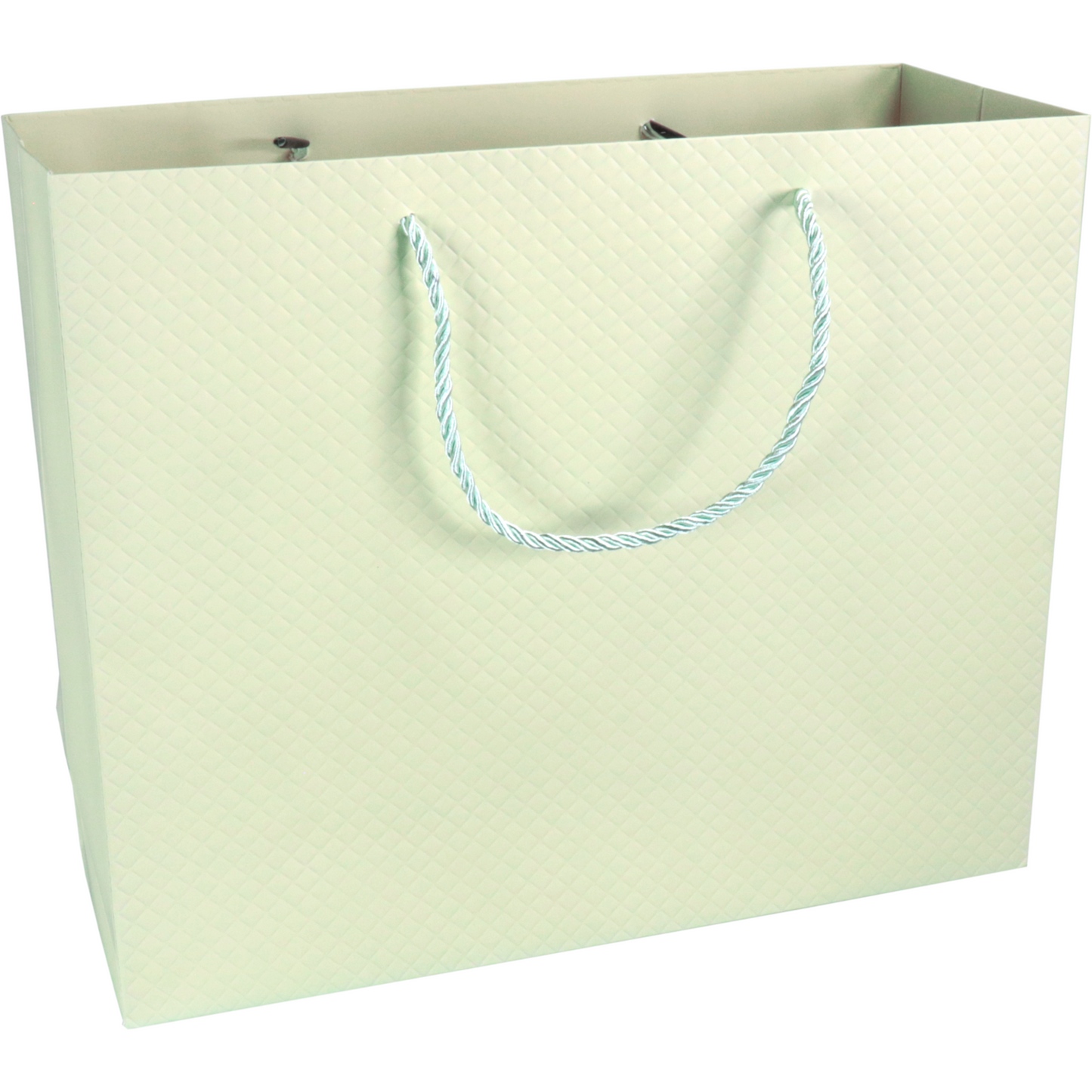 Klika - Tas | Papier | embossed | 31x 12x26cm | draagtas | pastelgroen | 10 stuks
