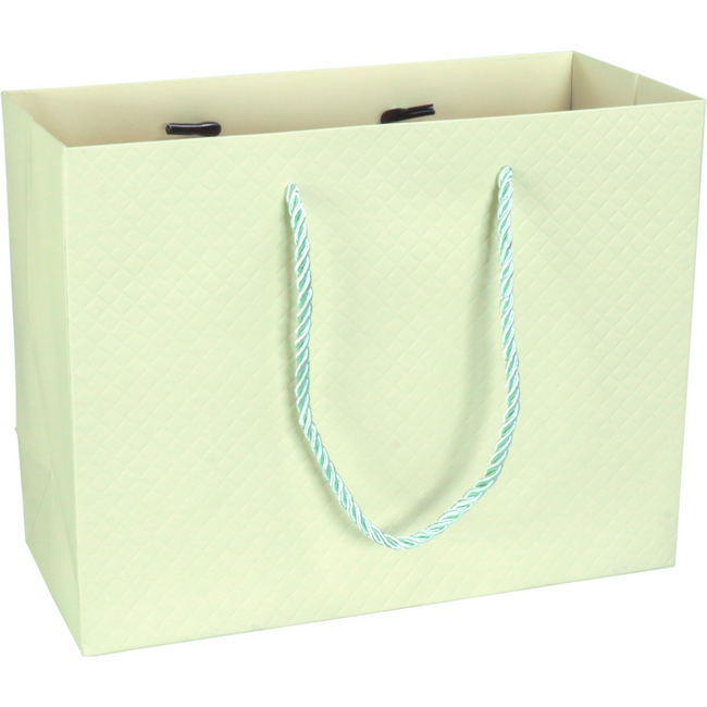 Klika - Tas | Papier | embossed | 23x 10x18cm | draagtas | pastelgroen | 10 stuks