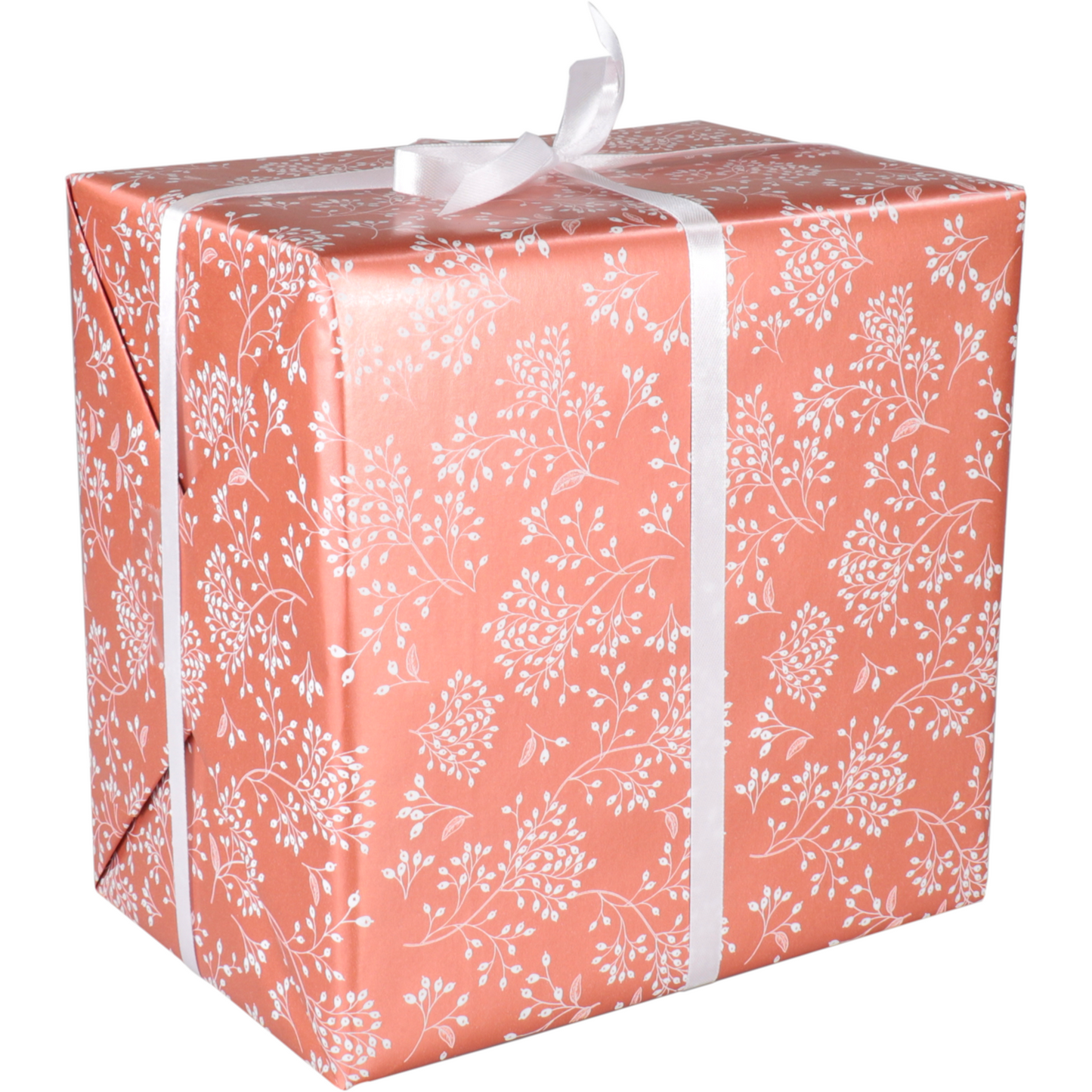 Klika - Cadeaupapier | 50cm | 200m | 80gr/m² | Botanic | terra/wit