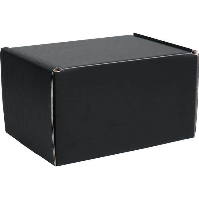 Klika - Postpakketdoos | golfkarton | 200x150x120mm | met klep | zwart | 25 stuks