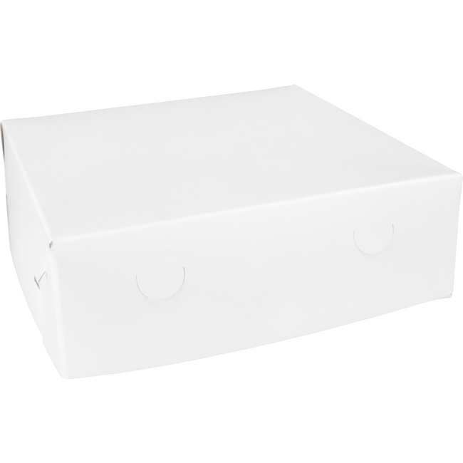 Klika - Zwanenhals/ verzenddoos | karton | 25x25x8cm | duplex | wit | 100 stuks