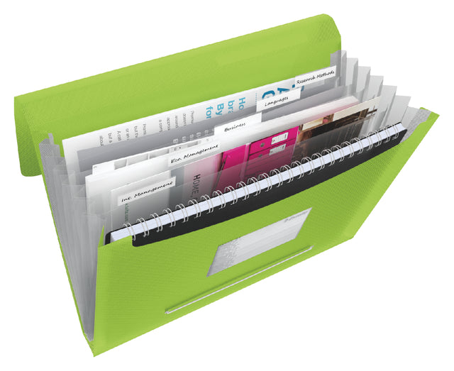 Chemise de projet Esselte Vivida A4 6 compartiments PP vert