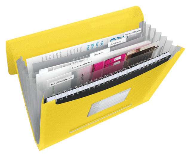 Chemise de projet Esselte Vivida A4 6 compartiments PP jaune