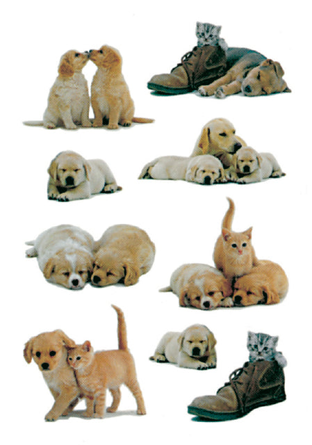 Etiquette HERMA 5606 chiots